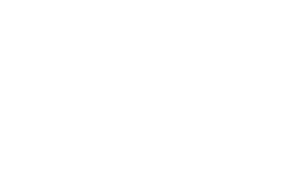 South Glos Council logo